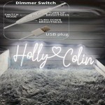 Custom Wedding LED Neon Sign- Personalized Couple Names with Heart Design Wall Art, USB Powered Wall Mounted Home Decor for Wedding, Anniversary, Valentine's Day Gifts, Romantic Ambient Lighting, Elegant Fonts, High Quality Durable Lighting, Event P